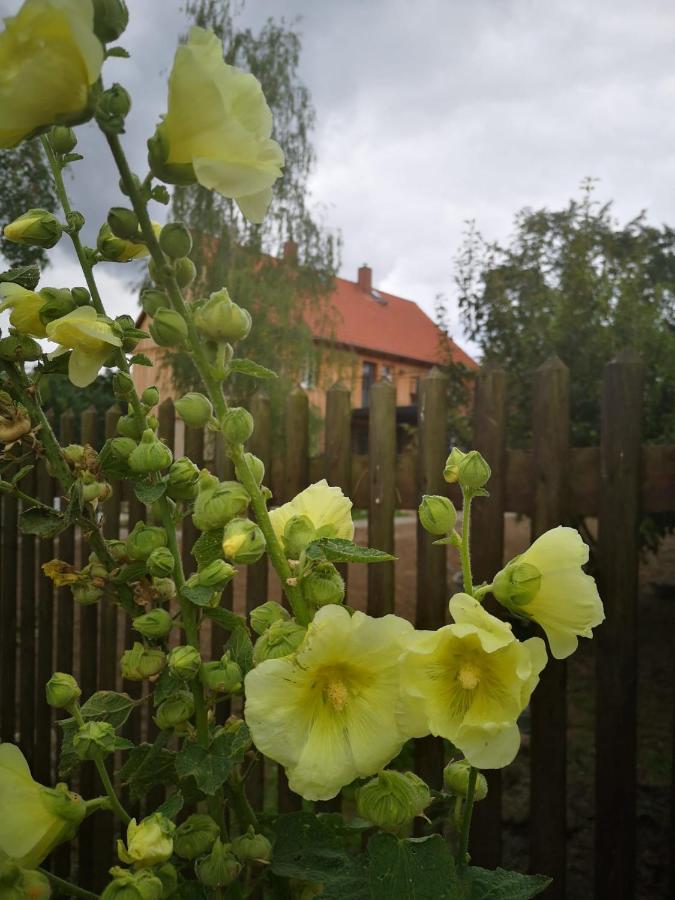 Hof Janne Stapelburg Apartment Bagian luar foto